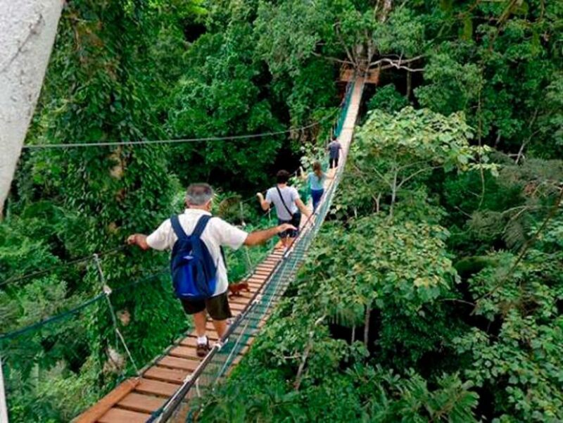 Tambopata: Lago Sandoval and Colpa of Loros 3- Days - Key Points