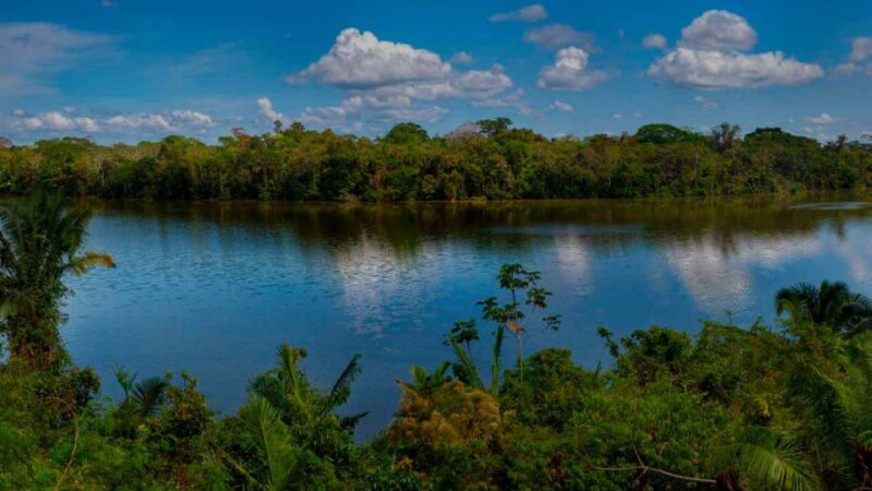 Tambopata: Lago Sandoval and Colpa of Loros 3- Days - Day 2: Discovering Lake Sandoval