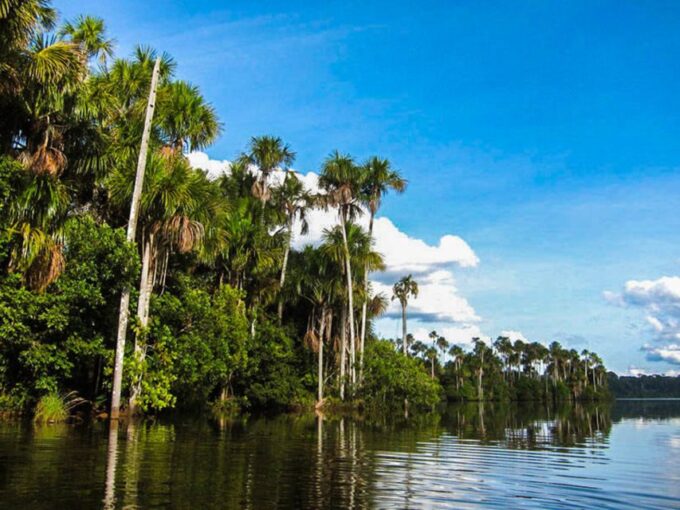 Tambopata: Lake Sandoval Canoeing With Lunch - Safety and Precautions
