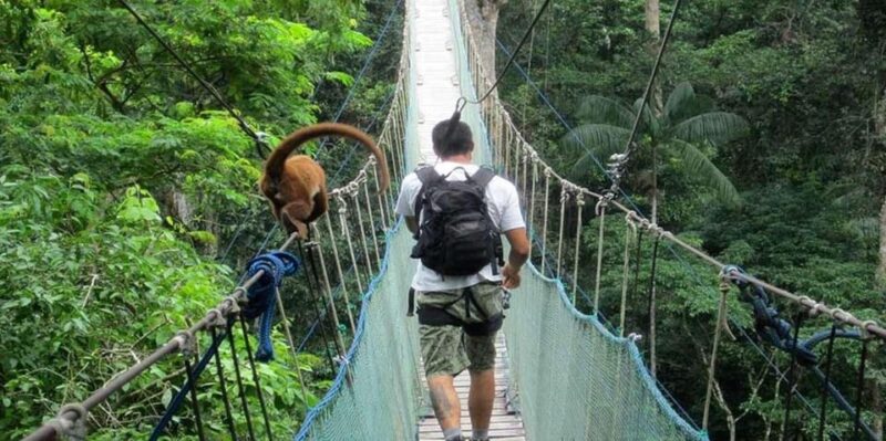 Tambopata: Mashiguenga Family + Tambopata Reserve 5-Days - Key Points