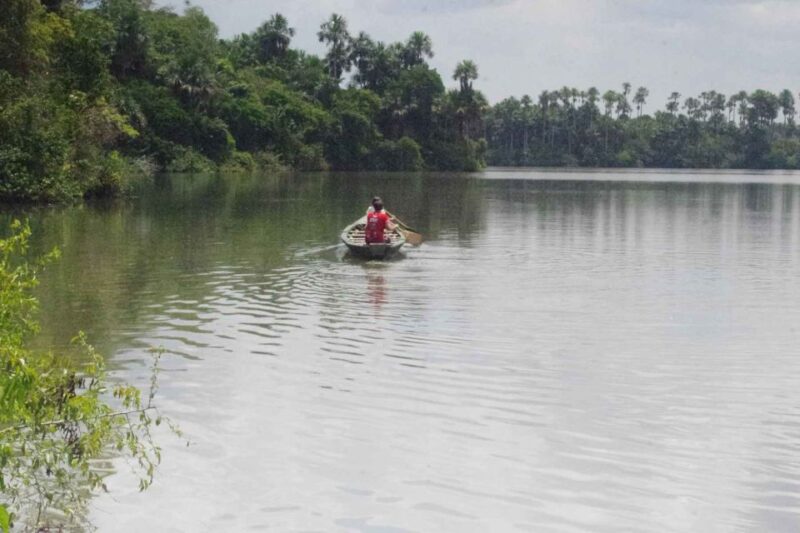 Tambopata: Multi-Day Amazon Rainforest Tour With Local Guide - Booking Information