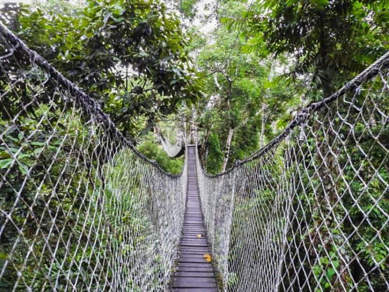 Tambopata: Multi-Day Amazon Rainforest Tour With Local Guide - Accommodation Details