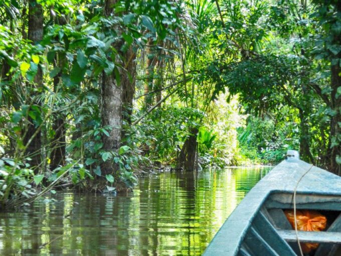 Tambopata: Multi-Day Amazon Rainforest Tour With Local Guide - Guidance and Assistance