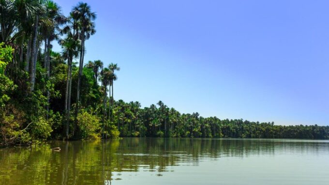 Tambopata: Multi-Day Amazon Rainforest Tour With Local Guide - Restrictions and Recommendations