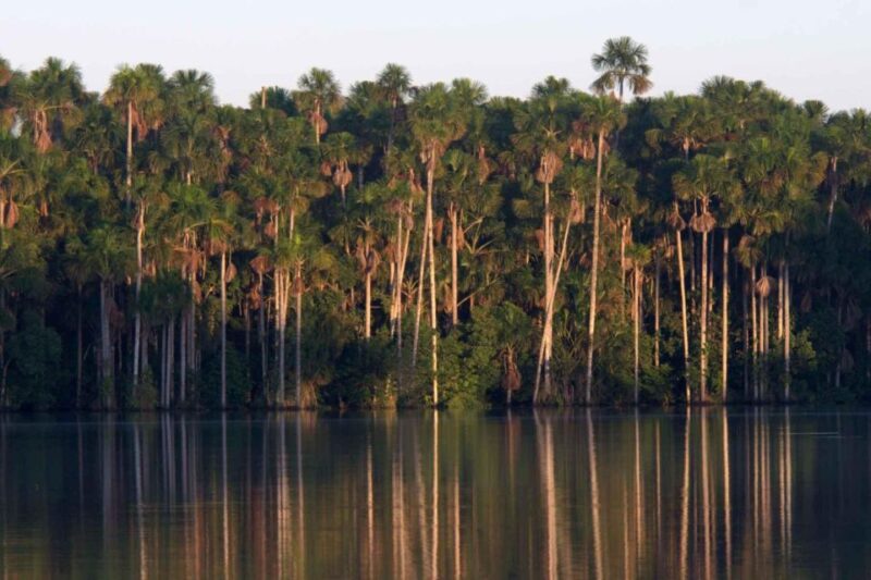 Tambopata National Reserve 4 Days - Key Points
