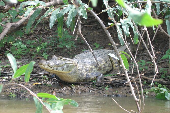 Tambopata National Reserve Tour (3 Days) - Meeting and Pickup Details