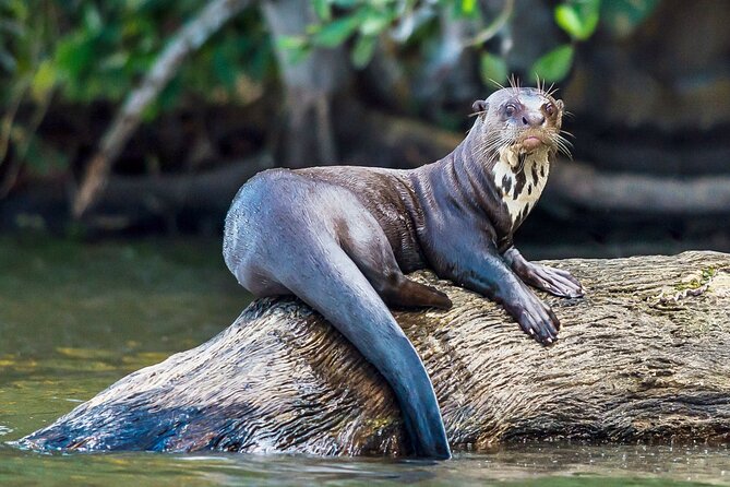 Tambopata National Reserve Tour (3 Days) - Itinerary and Activities