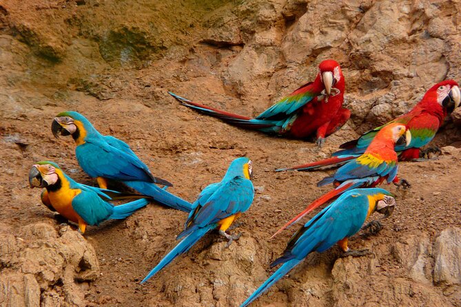 Tambopata National Reserve Tour (3 Days) - Accommodation and Meals