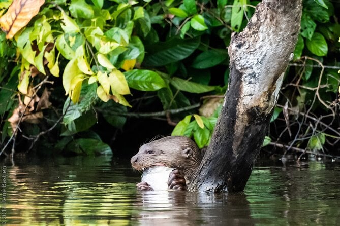 Tambopata National Reserve Tour (3 Days) - Why Choose This Tour