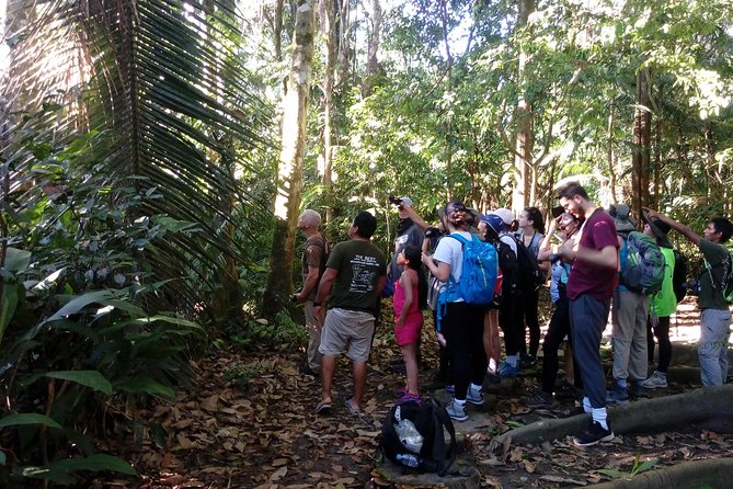 Tambopata National Reserve Tour 4 Days From Cusco - Overview of the Tour