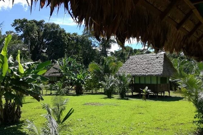 Tambopata National Reserve Tour 4 Days From Cusco - Pickup and Schedule Details