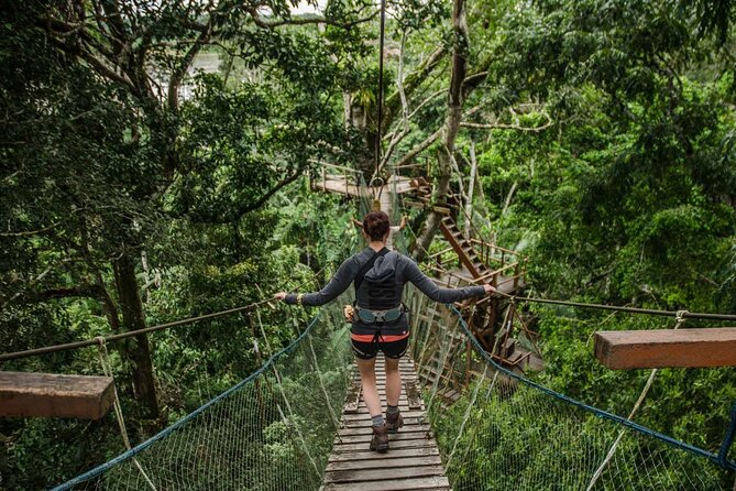Tambopata National Reserve Tour 4 Days From Cusco - Exploring Tambopata National Reserve