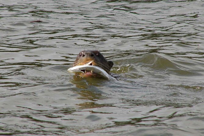 Tambopata National Reserve Tour 4 Days From Cusco - Feedback and Recommendations