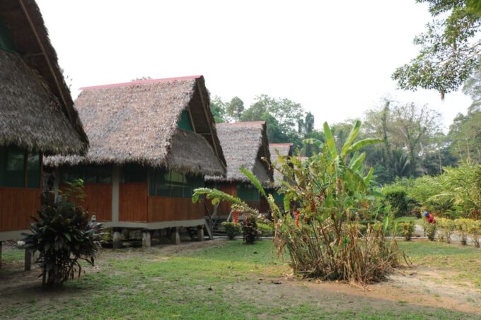 Tambopata Peruvian Amazon Jungle for Three Days/Two Nights - Activity Descriptions