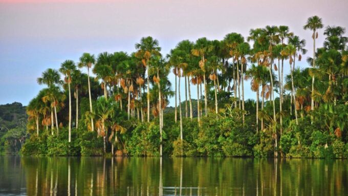 Tambopata Peruvian Amazon Jungle for Three Days/Two Nights - Frequently Asked Questions
