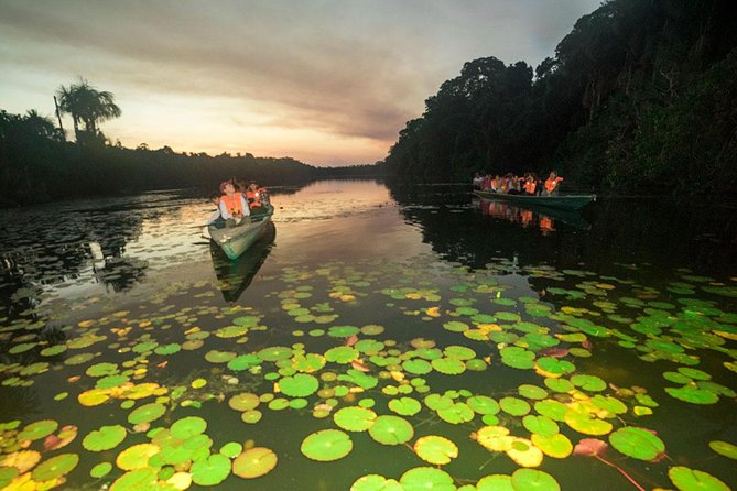 Tambopata (Puerto Maldonado) 4 Days - Pricing and Cancellation Policy