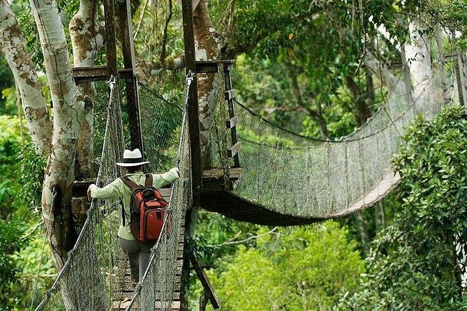 Tambopata (Puerto Maldonado) 4 Days - Encountering Vibrant Macaws