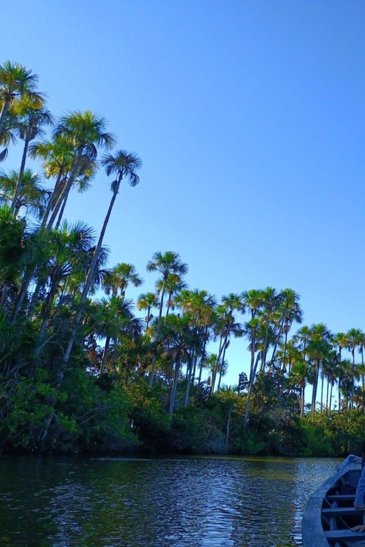 Tambopata: Sandoval Lake and Parrot Clay Clay 3 Days - Itinerary Highlights