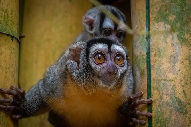 Tambopata. Sandoval Lake and Parrot Clay Lick, 3 Days 2 Nights - Arrival and Day 1 Activities