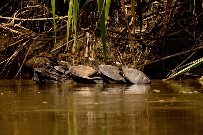 Tambopata. Sandoval Lake and Parrot Clay Lick, 3 Days 2 Nights - Sandoval Lake and Cultural Visit