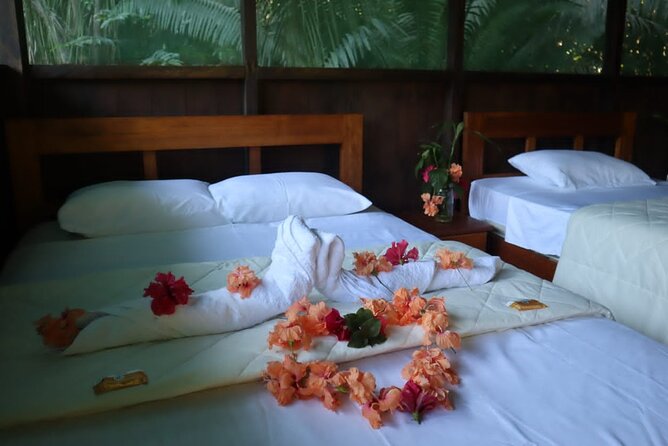 Tambopata. Sandoval Lake and Parrot Clay Lick, 3 Days 2 Nights - Wildlife and Flora Highlights