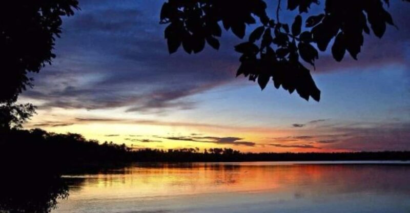 Tambopata Sunset Tour 3D/2N - Key Points