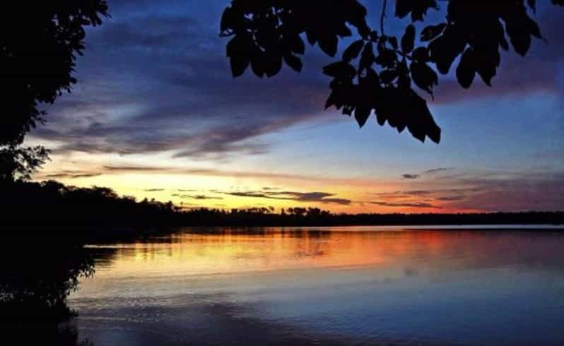 Tambopata Sunset Tour 3D/2N - Day 1 Highlights