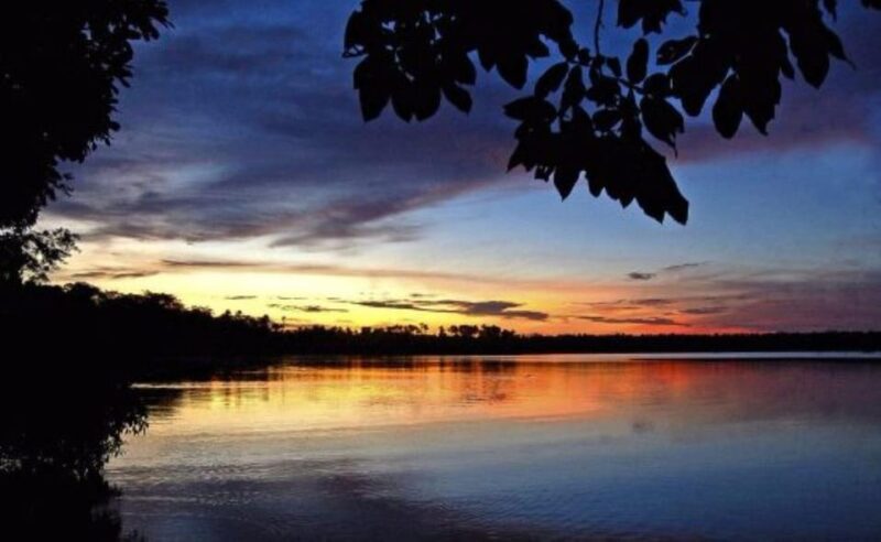 Tambopata Sunset Tour 3D/2N - Day 2 Highlights