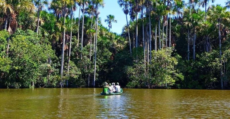 Tambopata Tour With Ayahuasca Ceremony 4 Days - Key Points