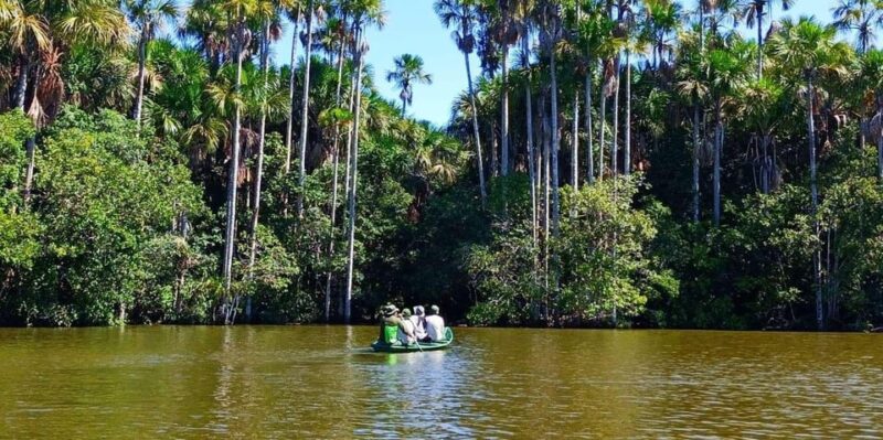 Tambopata Tour With Ayahuasca Ceremony 4 Days - Experience Highlights