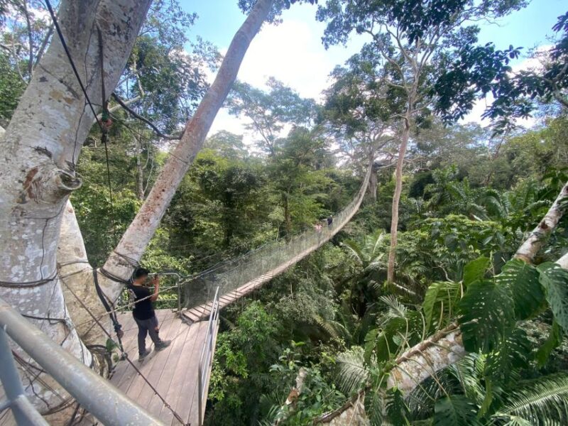 Tambopata: Zipline Adventure & Kayak to Monkey Island - Included Experiences