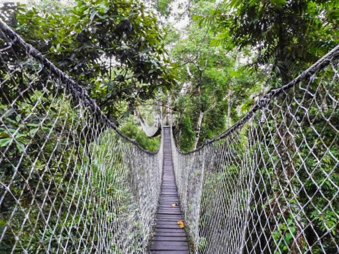 Tambopata: Zipline Adventure & Kayak to Monkey Island - Customer Feedback Highlights