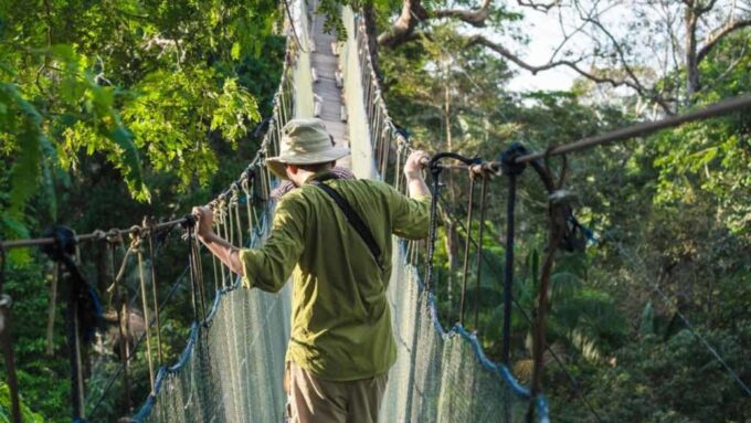 Tambopata: Zipline Adventure & Kayak to Monkey Island - Safety Considerations