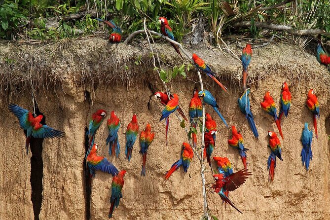 Tambopta National Reserve 5 Days Tour - Getting to Puerto Maldonado