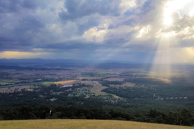 Tamborine Mountain Daily Service, Treetop Challenge and Thunderbird Park - Attractions and Activities to Explore