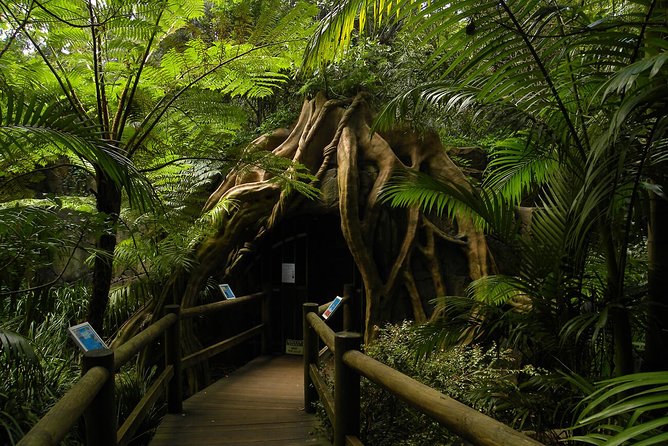Tamborine Mountain Daily Service, Treetop Challenge and Thunderbird Park - Customer Reviews and Ratings
