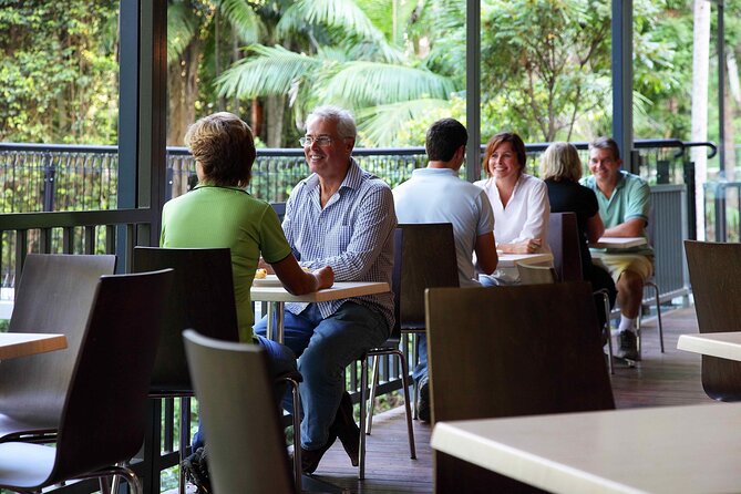 Tamborine Rainforest Skywalk + Hop on Hop off Shuttle - Itinerary Highlights
