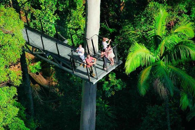 Tamborine Rainforest Skywalk + Hop on Hop off Shuttle - Dietary Needs