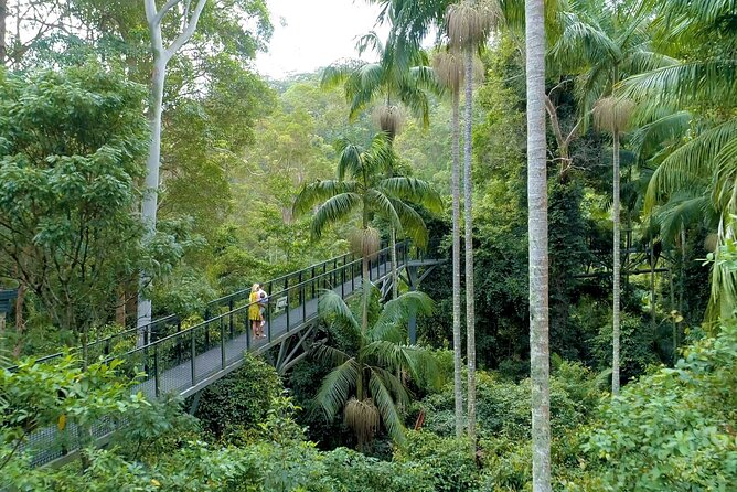 Tamborine Rainforest Skywalk + Hop on Hop off Shuttle - Cancellation Policy