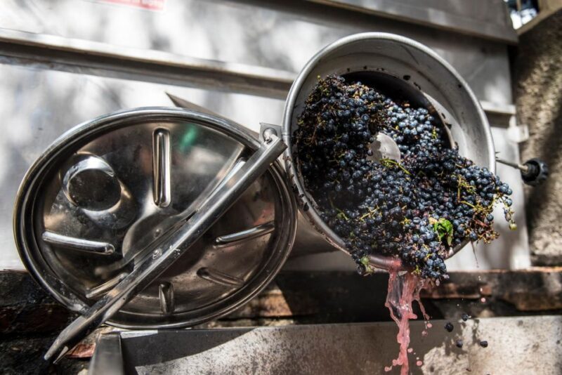 Tamburini Wine Tour and Tasting - Booking Information and Cancellation Policy