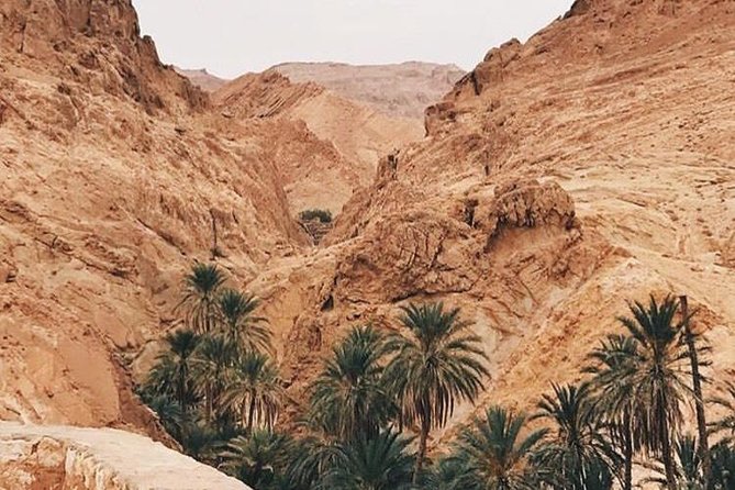 Tamerza Canyon Oasis Tour - Tour Logistics
