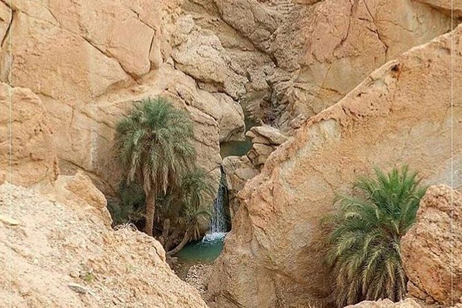 Tamerza Canyon Oasis Tour - Marvel at Tamerza Waterfall