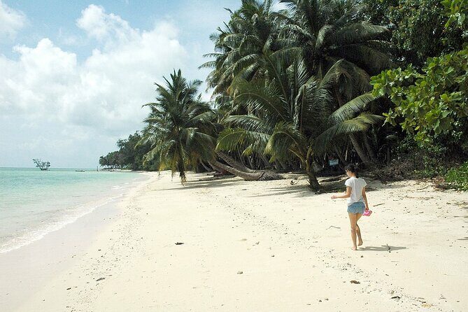Tamil Nadu to Andaman: A Cultural & Coastal Adventure - Practical Details and Tips