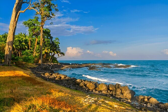 Tamil Nadu to Andaman: A Cultural & Coastal Adventure - Final Thoughts: Is This Tour for You?