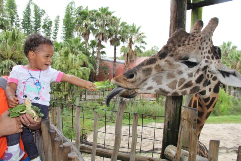 Tampa Bay CityPASS®: Save 54% at 5 Top Attractions - Customer Reviews and Experiences