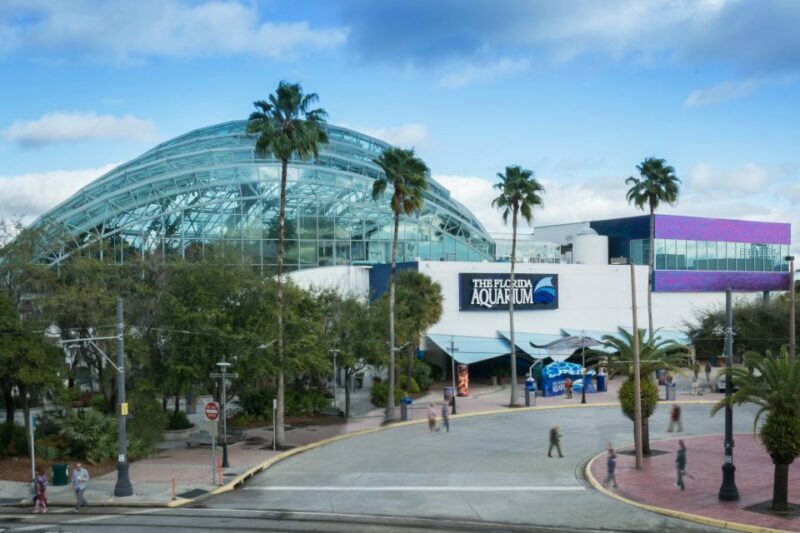 Tampa Bay CityPASS®: Save up to 55% at 5 Top Attractions - Busch Gardens Tampa Bay