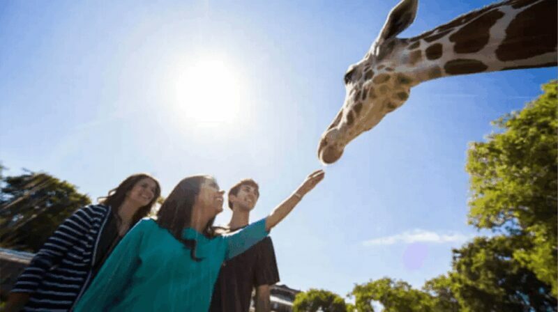 Tampa Bay: Serengeti Safari Tour - What Is the Serengeti Safari Tour?