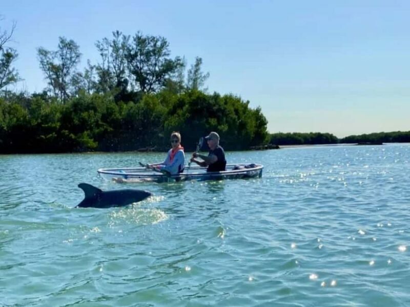 Tampa Bay: Shell Key Preserve Clear Kayak Tour - Key Points