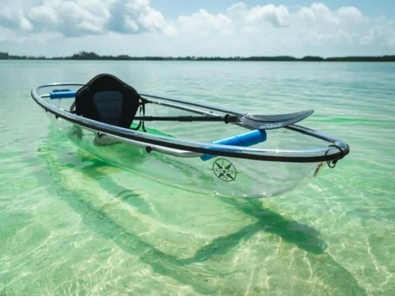 Tampa Bay: Shell Key Preserve Clear Kayak Tour - An In-Depth Look at the Shell Key Preserve Kayak Tour