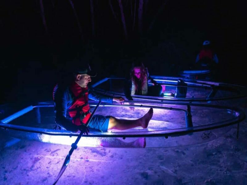Tampa Bay: Shell Key Preserve Clear Kayak Tour - FAQs